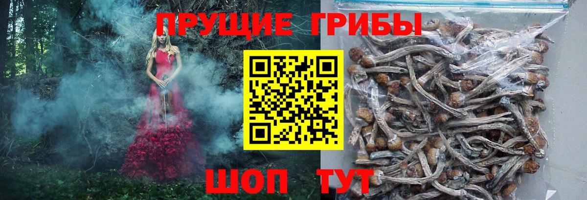 Псилоцибиновые грибы прущие грибы  Вход с VPN  Барабинск 